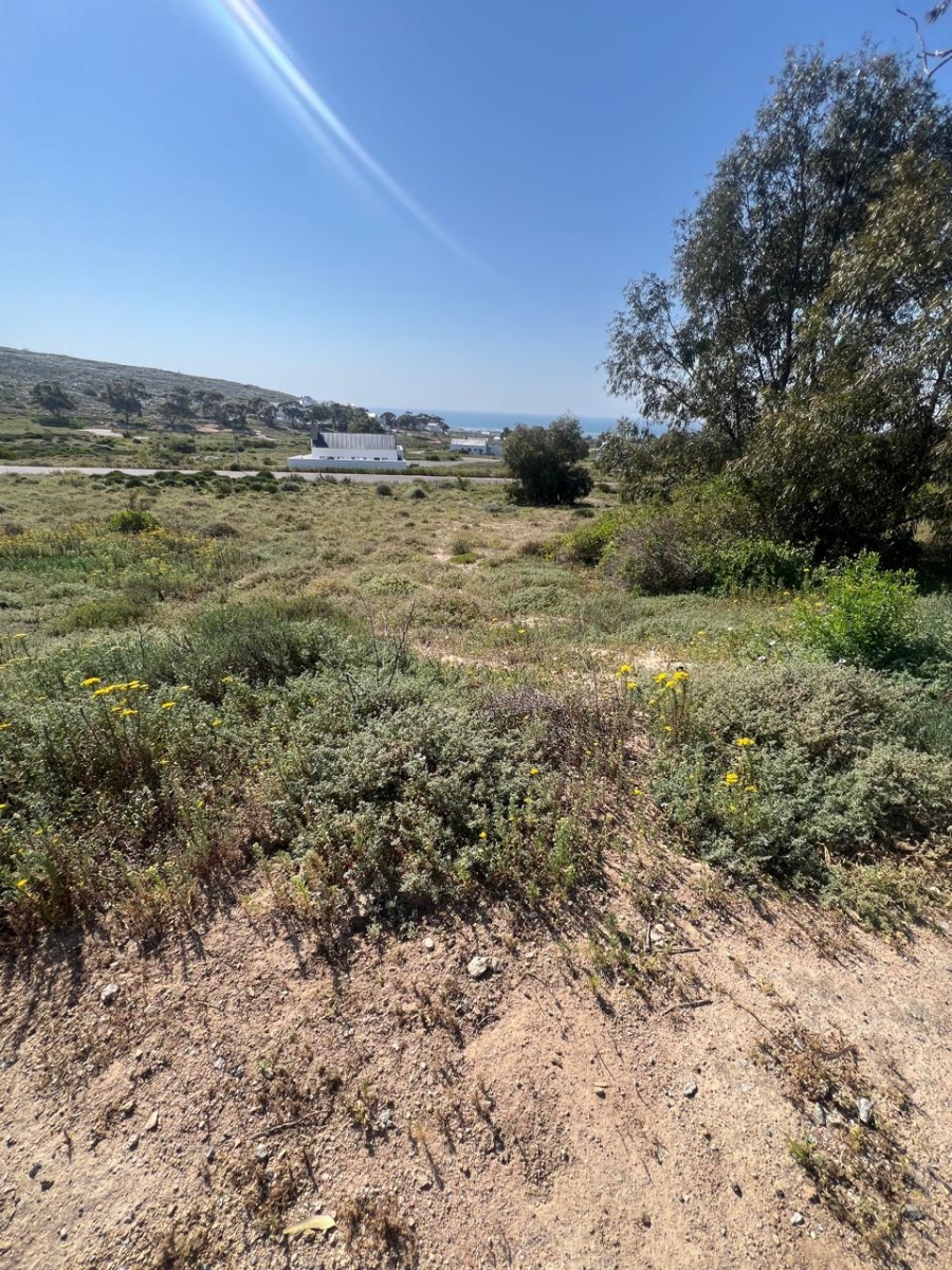 Commercial Property for Sale in Steenbergs Cove Western Cape